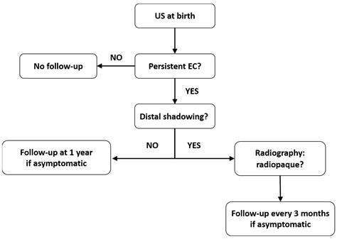 Echogenic Content in the Fetal Gallbladder: Systematic Review of ...