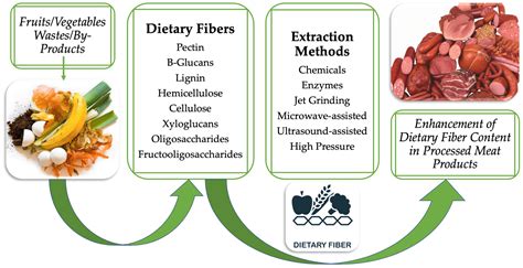 What Is The Purpose Of Dietary Fiber at Donald Stoltenberg blog