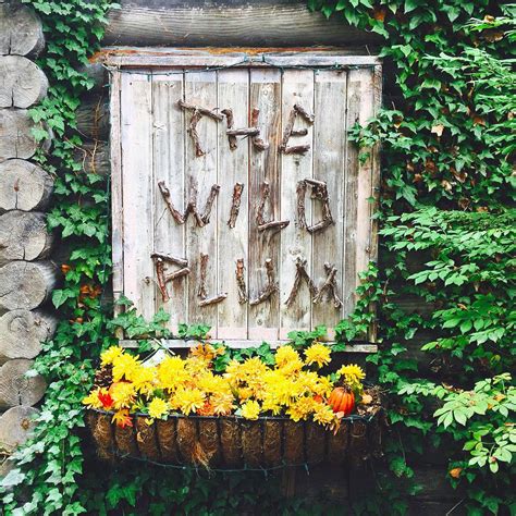 Local Foodie's Review of Wild Plum Tea Room in Gatlinburg