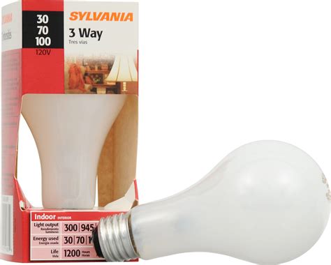 100 Watt Incandescent