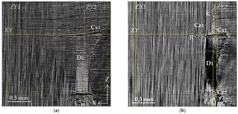 Three-Dimensional Study of Polymer Composite Destruction in the Early ...