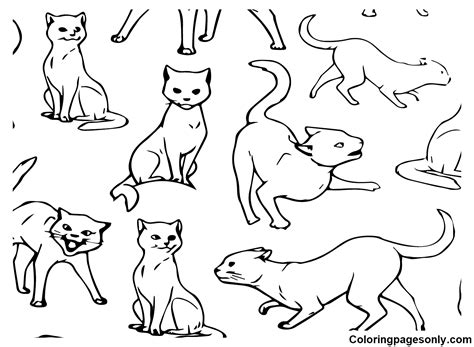 Hocus Pocus Coloring Pages - Coloring Pages For Kids And Adults