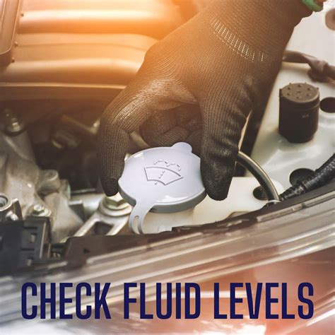 Piston Lube Centers on LinkedIn: #nationalcarcaremonth