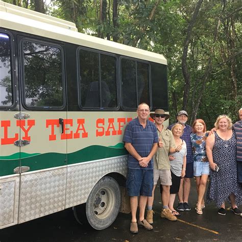 BILLY TEA SAFARIS (2025) All You Need to Know BEFORE You Go (with ...