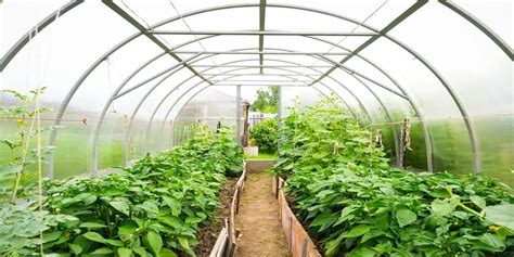 Image result for Greenhouse Monitoring System Using Arduino