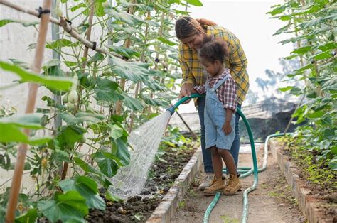 Image result for Step 1 Spring Fertilizer