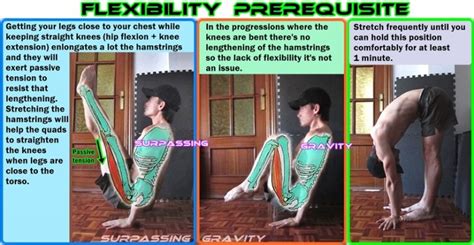 Image result for V Sit Tutorial
