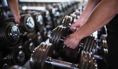 Image result for Powerlifting Program Free