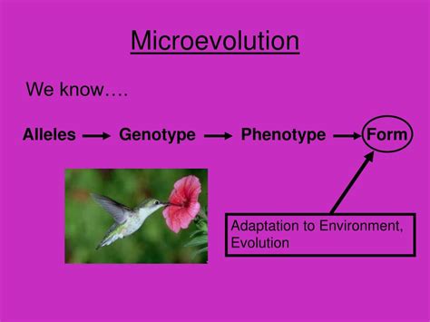 Image result for Microevolution Documentary