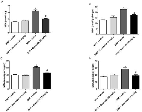 Quercetin Improves Baroreflex Sensitivity in Spontaneously Hypertensive ...