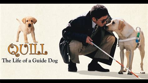 Quill: The Life of a Guide Dog《导盲犬小Q》2004 - YouTube