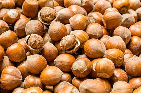 Image result for Empty Hazelnut Shell