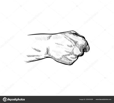 Back Of Fist Drawing