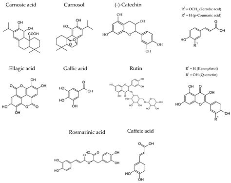 Natural Antimicrobials: A Clean Label Strategy to Improve the Shelf ...