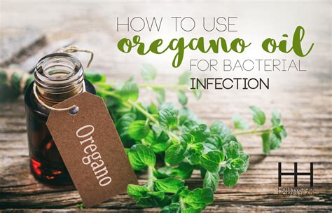 What Bacteria Does Oregano Oil Kill: A Strong Look At E. Coli And More