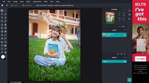 Image result for Pixlr Editor Basic