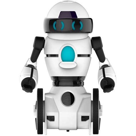 RC Mini MIP Robot 的图像结果