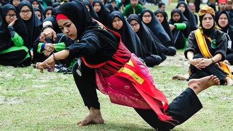Image result for Silat Boxing