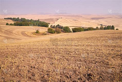 华盛顿州 帕卢斯 的图像结果