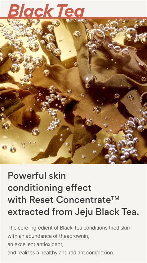 Innisfere Black Tea Youth Ampoule 30ML – innisfree India