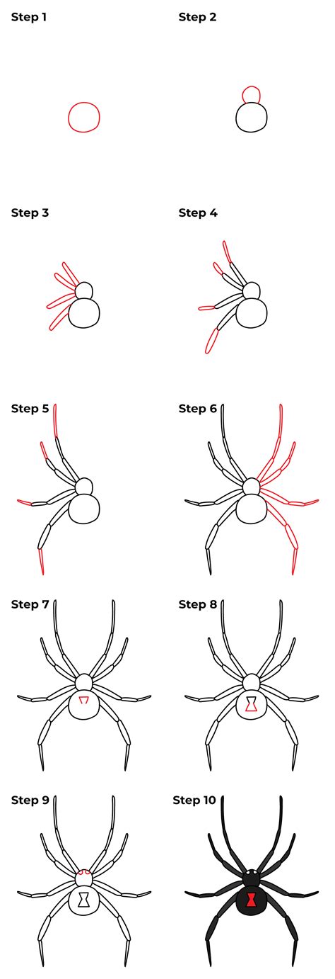 Black Spider Drawing