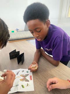 Classification Science P6 的图像结果