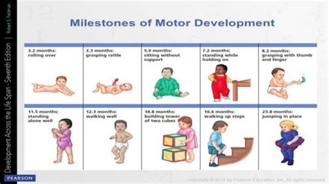 Image result for Physical Development Examples in Children