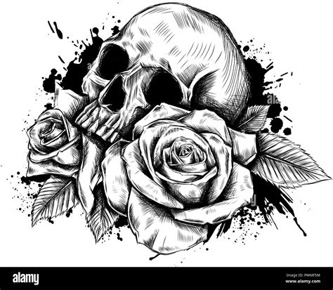 Skull rose Black and White Stock Photos & Images - Alamy