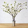 Cherry Blossoms Stem | Frontgate