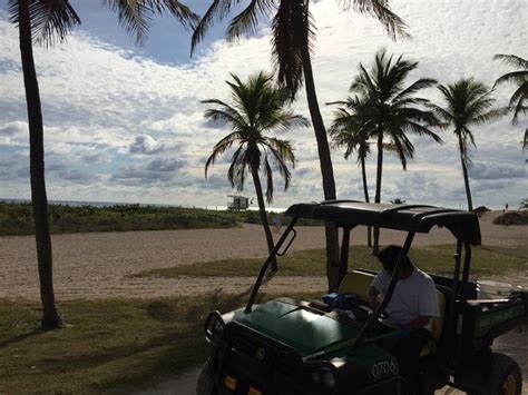 Miami Symbols: Unveiling the City’s Iconic Images