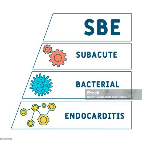Sbe Subacute Bacterial Endocarditis Acronym Stock Illustration ...