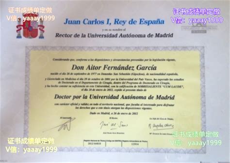 西班牙智者阿方索十世大学毕业证文凭，Universidad Alfonso X El Sabio diploma degree - 其它国家 ...