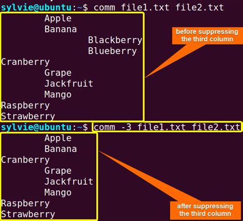 Comm Command in Linux 的图像结果