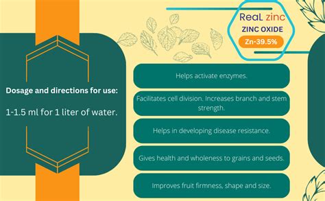 Gangothri Real Zinc 250 ML | ZINC Oxide Liquid Formulation with Zinc 39 ...