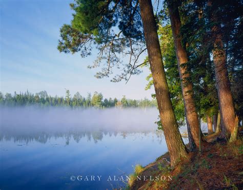 Coon Lake | Scenic State Park, Minnesota | Gary Alan Nelson Photography