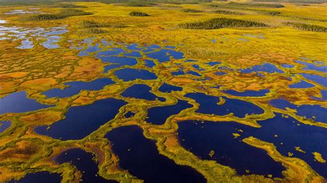 Bing HD Wallpaper Oct 25, 2025: Martimoaapa Mire Reserve, Finland - Bing Wallpaper Gallery