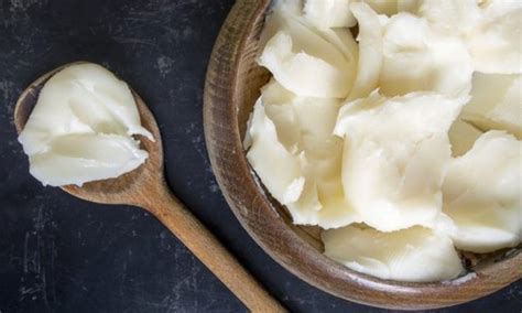 Preoperative Fat Meals Improve Thoracic Duct Visualization in Surgery ...