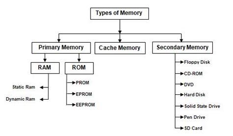 Venus Typewriting Institute