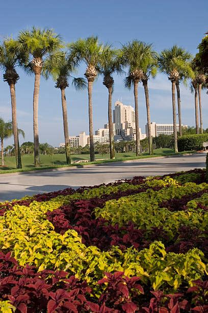 5 Physics Formulas 的图像结果