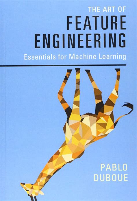 Buy The Art of Feature Engineering: Essentials for Machine Learning ...