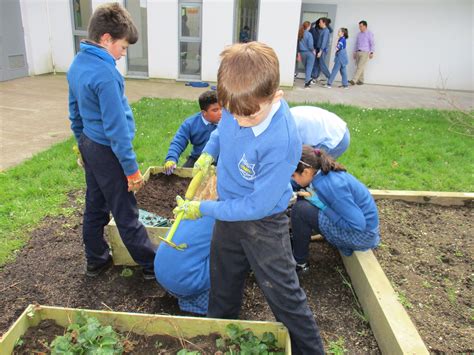 Image result for 4th Class