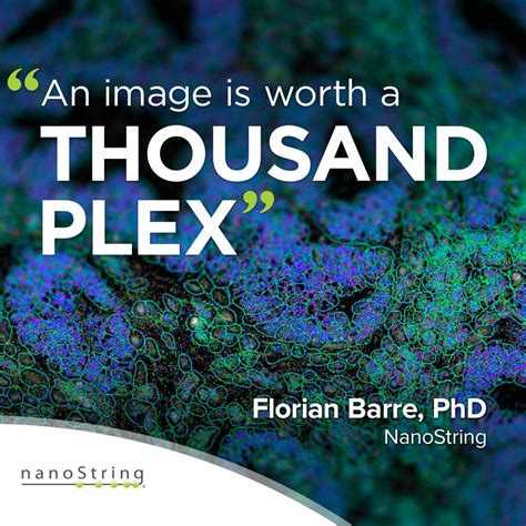 Image result for NanoString Technologies Stock