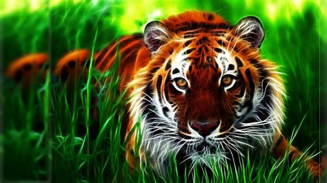 Image result for Graph Neural Network Python Example