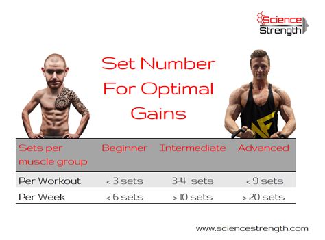 Image result for How Many Sets per Workout Session