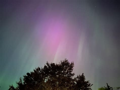 🌌 Aurora in Seattle | 家门口看极光 – daisky.us