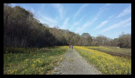 Acadiana Nature Station Trail Maintenance Event, Acadiana Nature ...