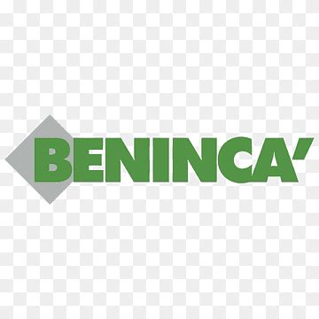 Image result for Beninca Tutorials