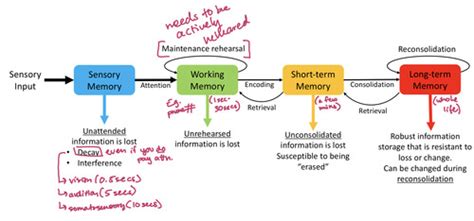 Memory Systems Tutorials 的图像结果