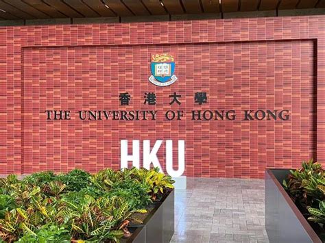 香港户籍儿童到深圳小学读书要什么入学条件和证件？需要社保吗？_深圳社保_深圳入户流程咨询网