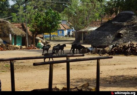 Muraiyur - JungleKey.in Image